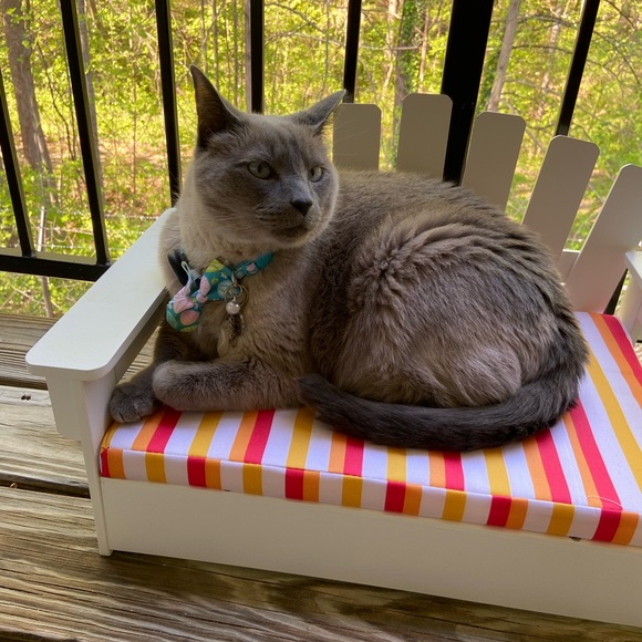 Meet your Posher, Gina - Picture 3 of 5